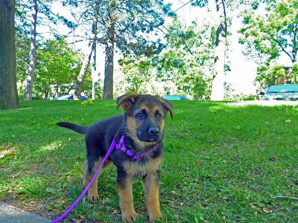 Lexi First Days With Family Imageview